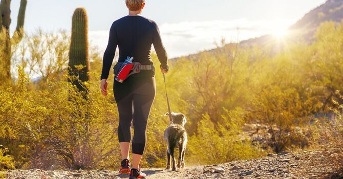 Pelvic Health Physiotherapy